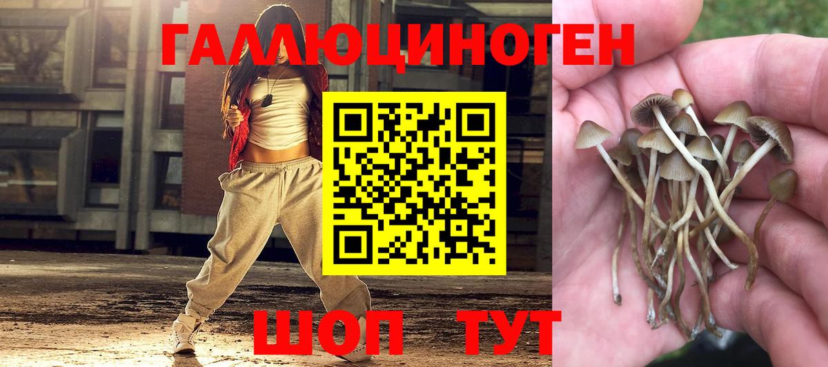 Псилоцибиновые грибы Magic Shrooms  Галлюциногенные грибы Psilocybe  Вход с VPN  Саров 